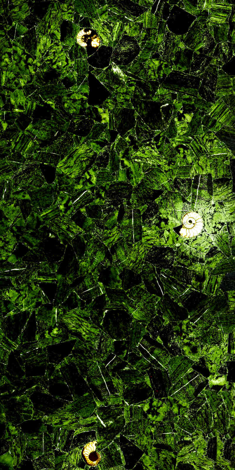 Emerald Fossil Gemstone Slab