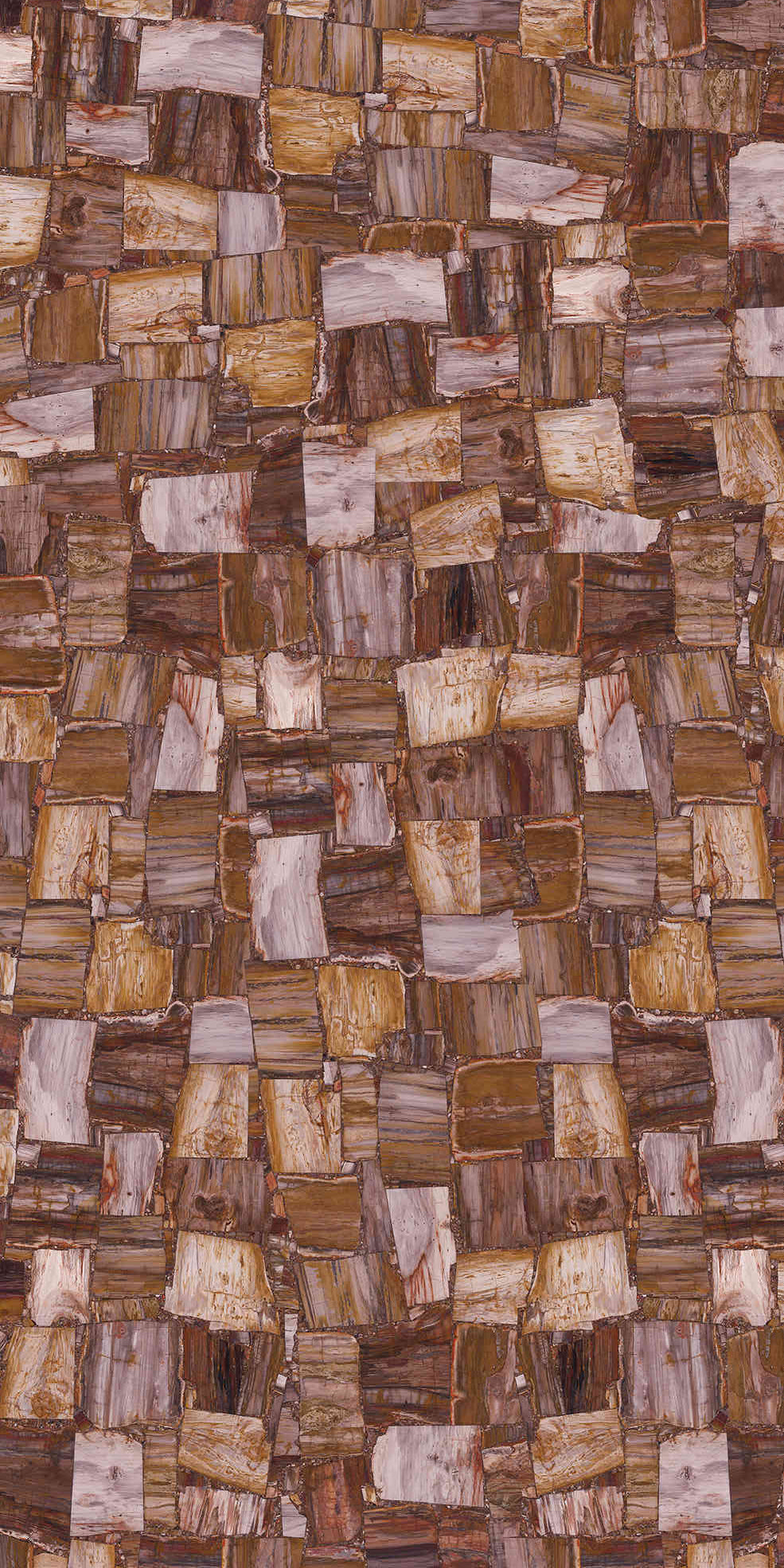 Petrified Wood Cross-Grain Gemstone Slab