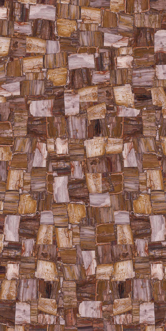 Petrified Wood Cross-Grain Gemstone Slab