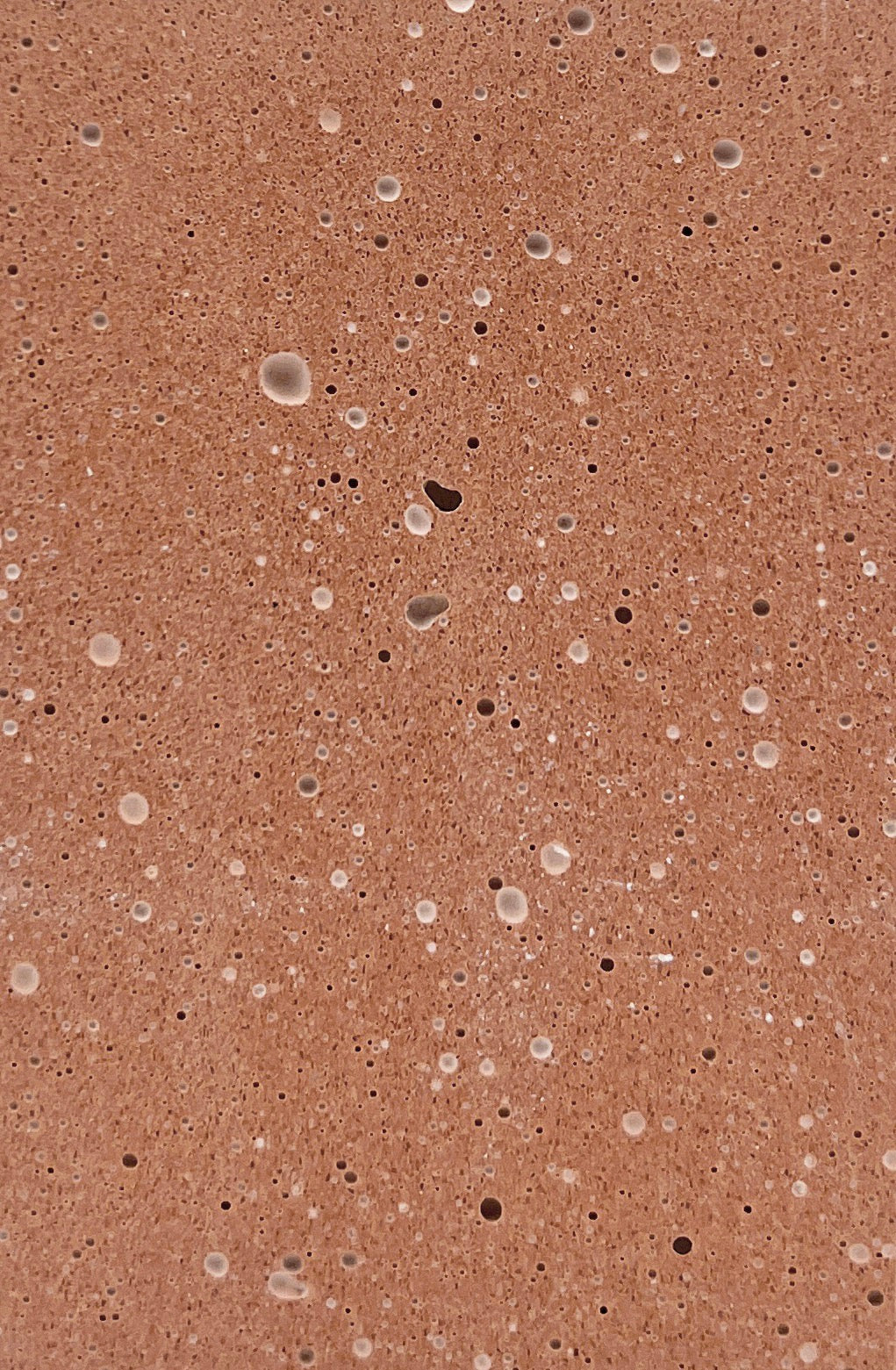 Terracotta Fossil Travertine II