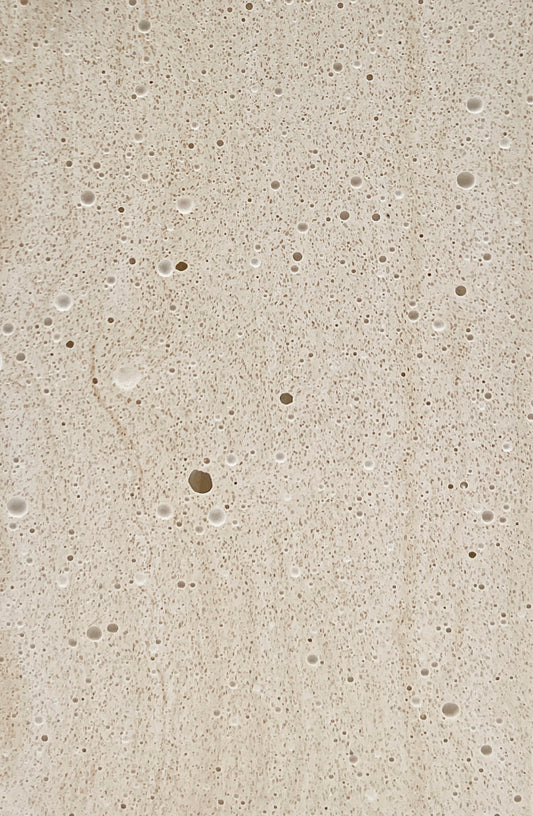 Ivory Strata Fossil Travertine