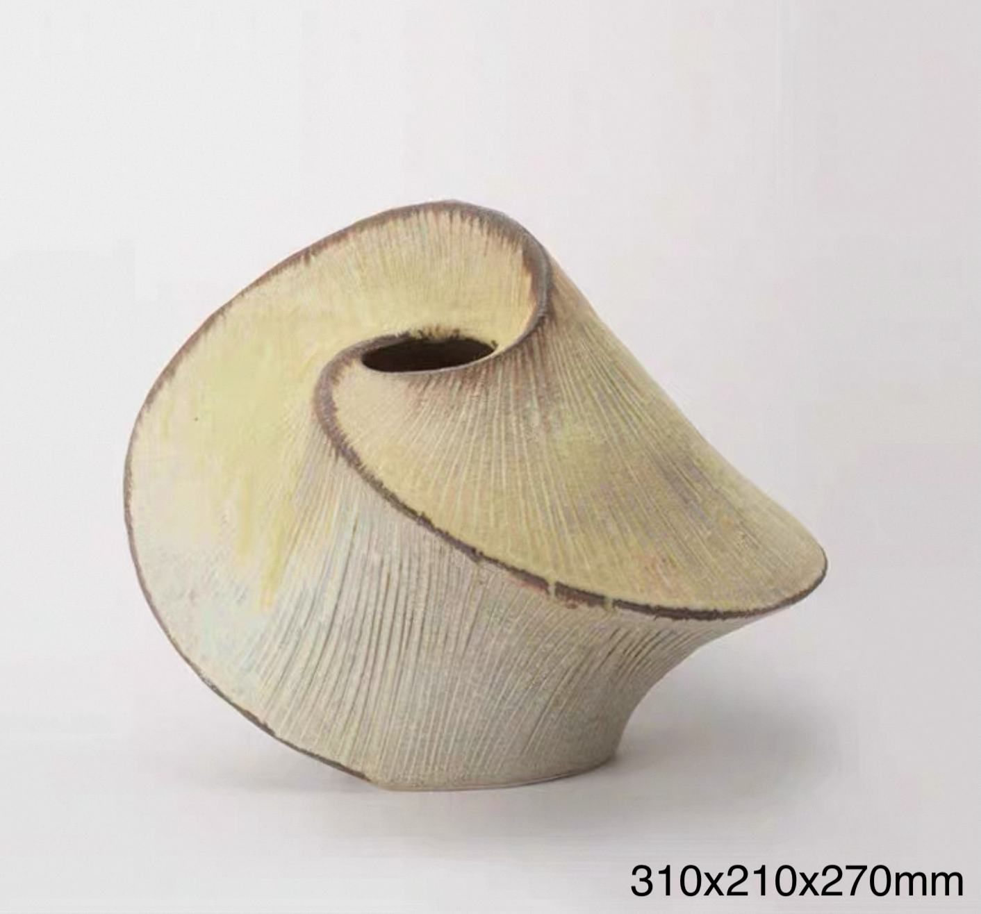 Shell Curve Sculptural Vase