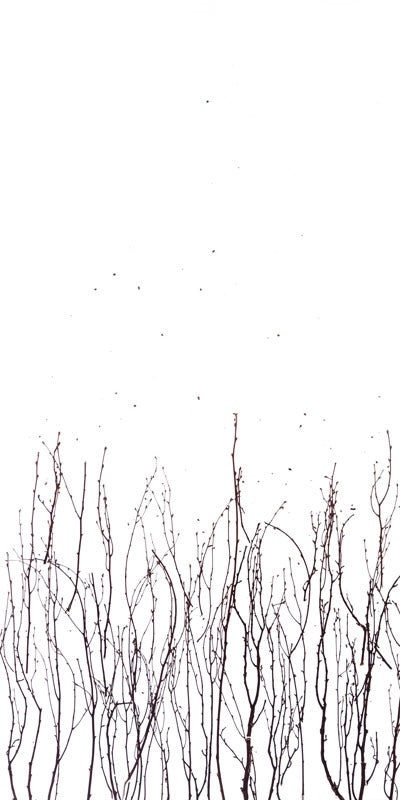 Birch Branch Translucent Panel (Half Pattern)