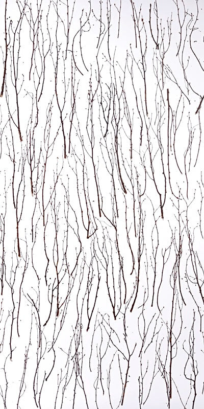 Birch Branch Translucent Panel (Full Pattern)