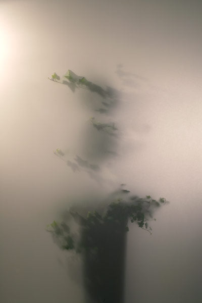 Mist Bloom Translucent Panel