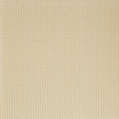 Amber Grid Translucent Panel