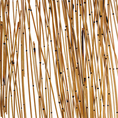 Reed Screen Translucent Panel