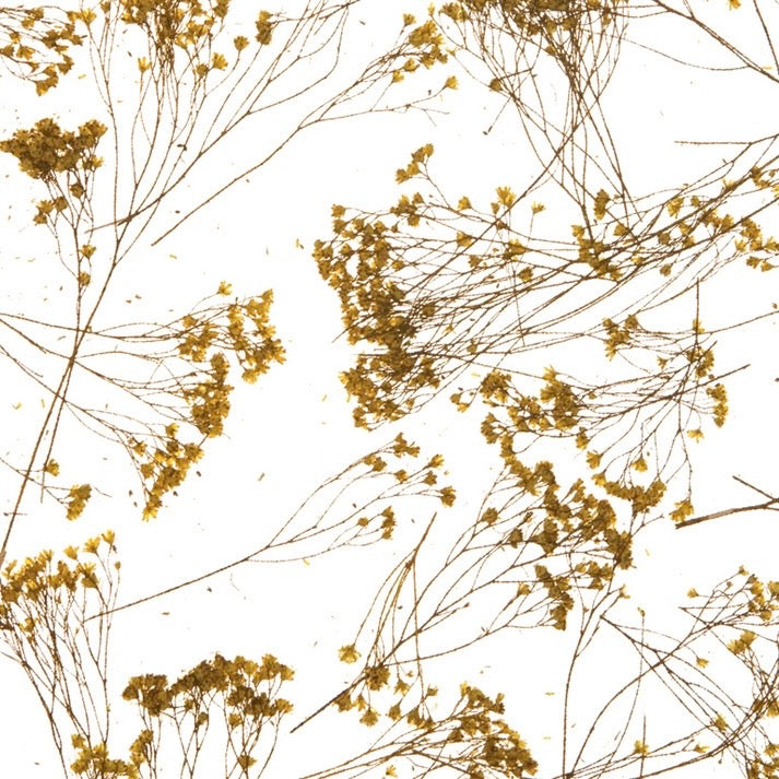 Wildflower Veil Translucent Panel