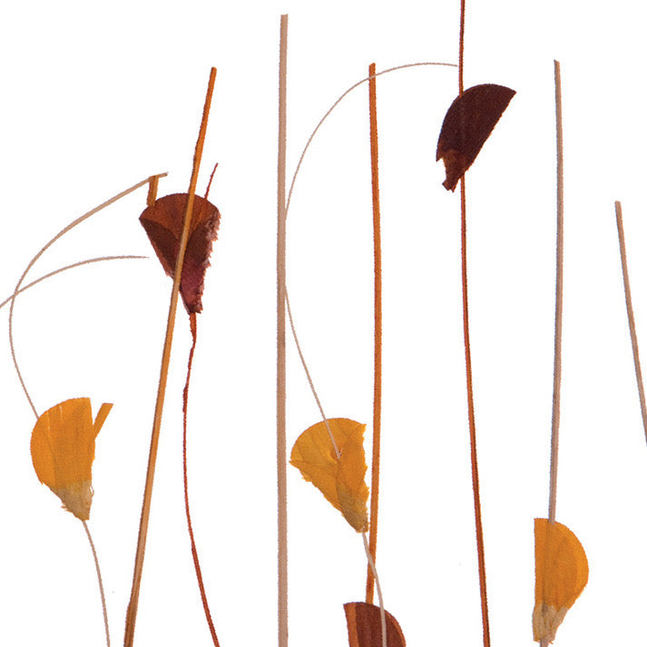 Autumn Field Translucent Panel (Half Pattern)