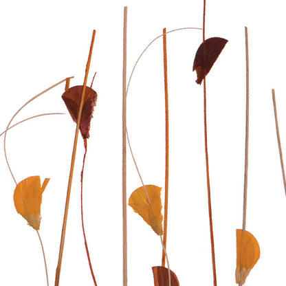 Autumn Field Translucent Panel (Half Pattern)