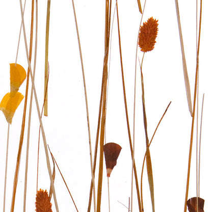 Autumn Field Translucent Panel (Full Pattern)