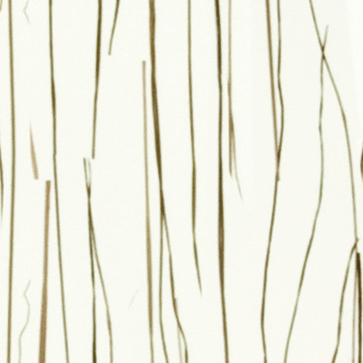 Bear Grass Translucent Panel (Low Density)