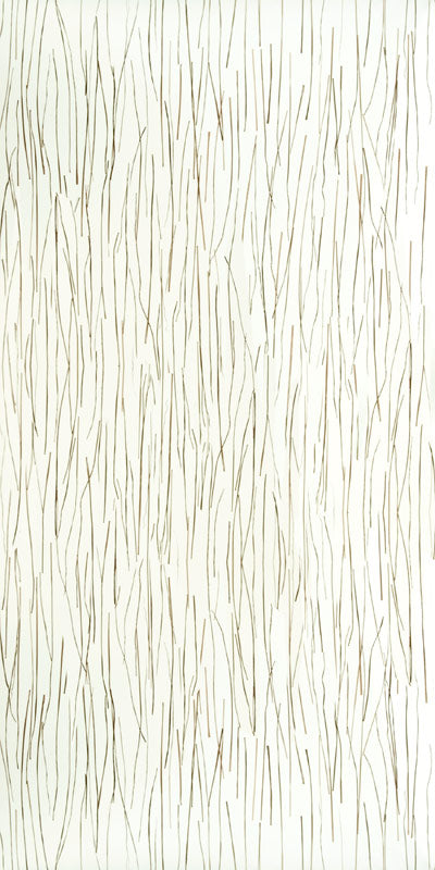 Bear Grass Translucent Panel (Low Density)