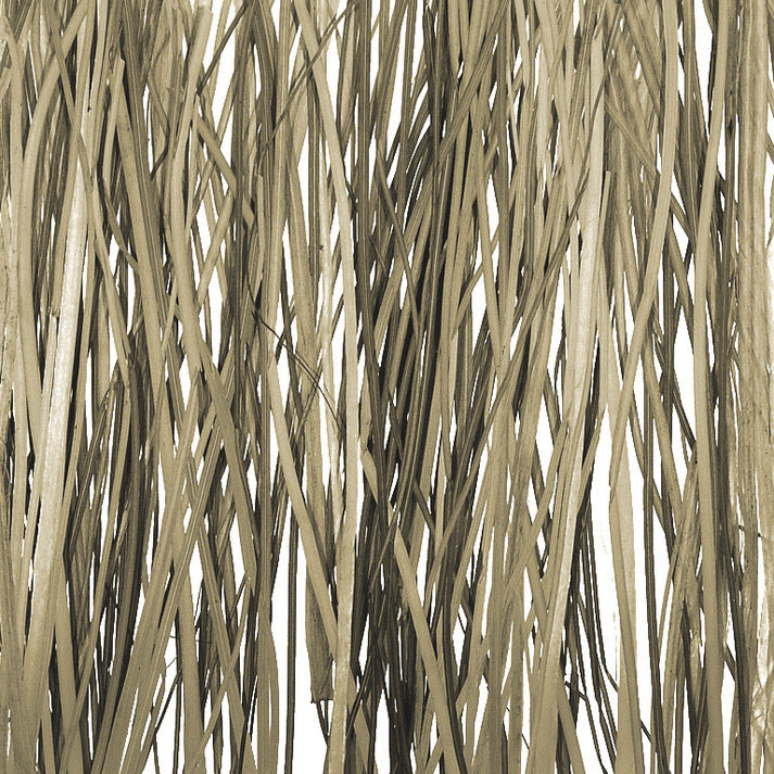 Bear Grass Translucent Panel
