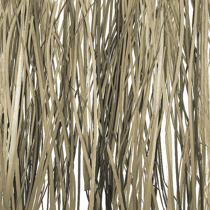 Bear Grass Translucent Panel