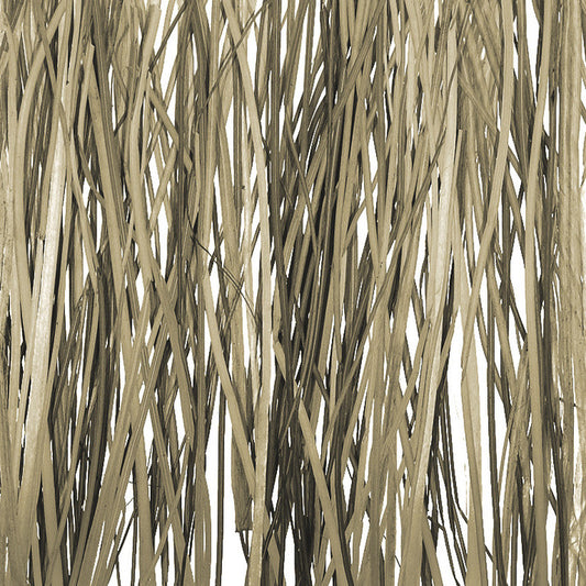 Bear Grass Translucent Panel
