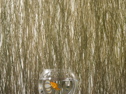 Bear Grass Translucent Panel