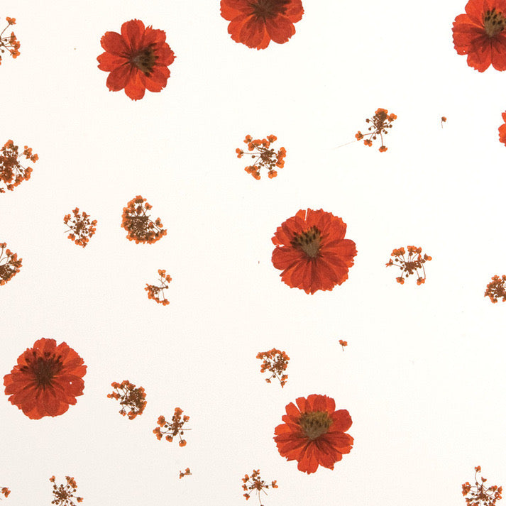 Poppy Scatter Translucent Panel