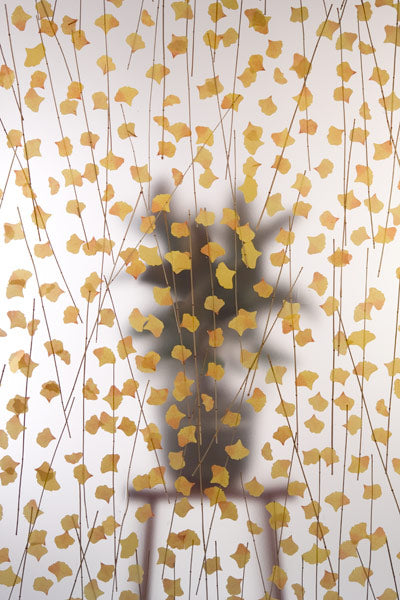 Ginkgo Veil Translucent Panel