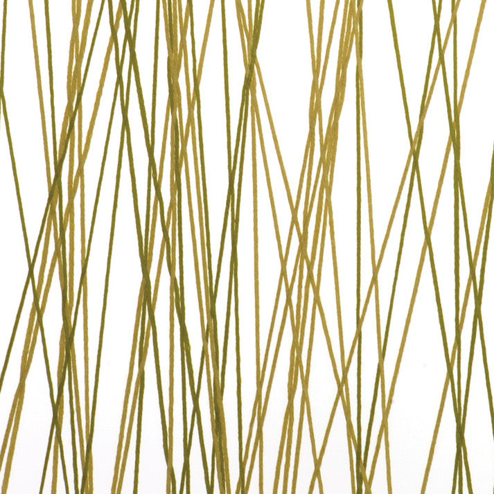 Algae Thread Translucent Panel