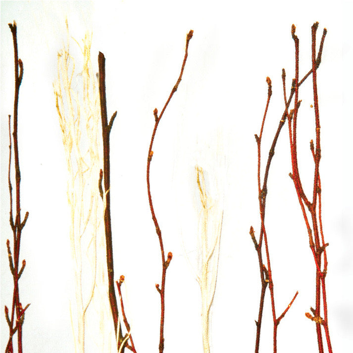 Twig Gradient Translucent Panel