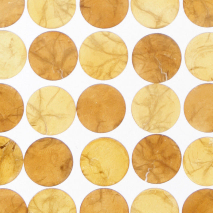 Honey Shell Dot Translucent Panel