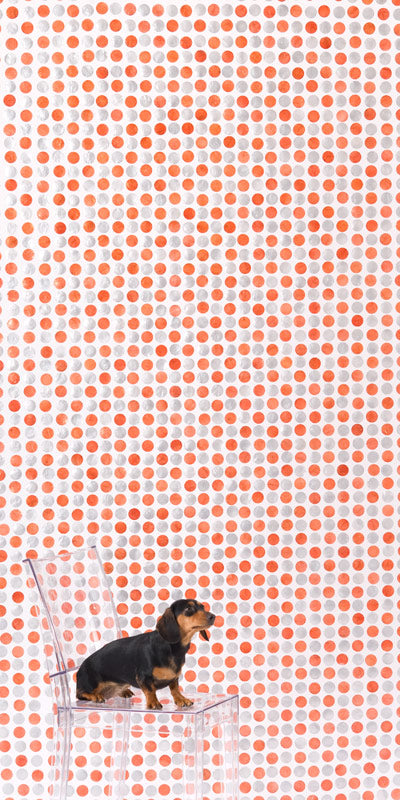 Silver Blush Dot Translucent Panel