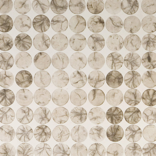 Smoky Shell Dot Translucent Panel