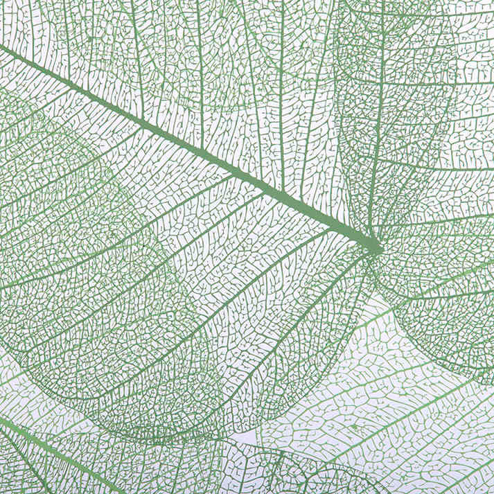 Layered Leaf Vein Translucent Panel