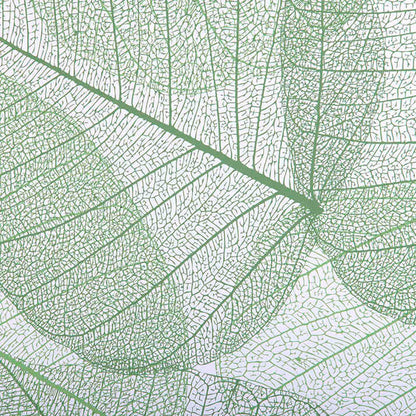 Layered Leaf Vein Translucent Panel