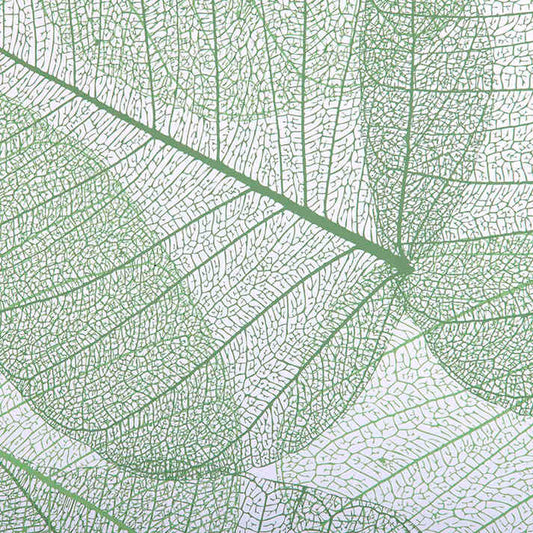 Layered Leaf Vein Translucent Panel