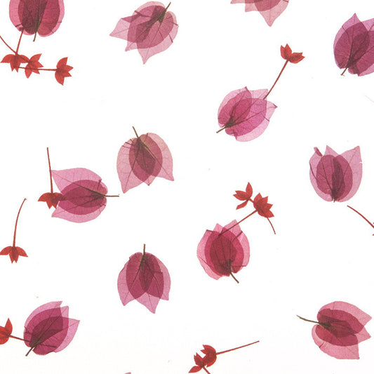 Bougainvillea Petal Translucent Panel